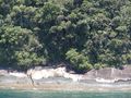 ilha grande