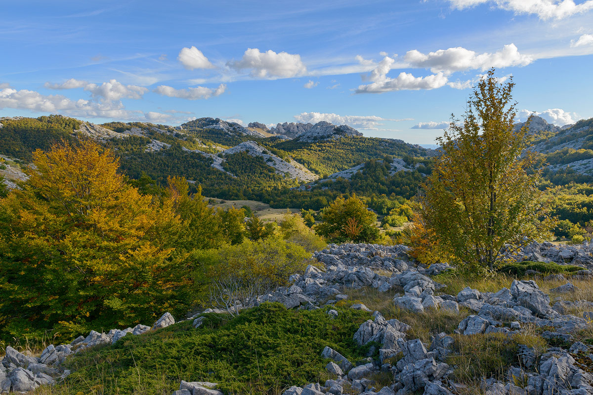 Doček nove jeseni...... 