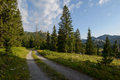 Zeleni Velebit