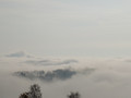 Zagreb sa Zele…