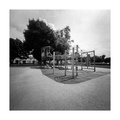 Pinhole day 20…