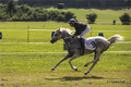 Galop