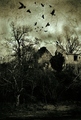 house of death…