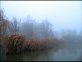 Foggy daybreak