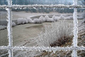 Frost