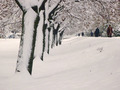 Snježni Zagreb