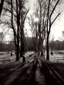 Zrinjevac