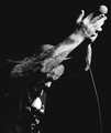 Phil Anselmo 2