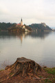 Bled