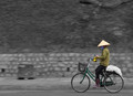 bike phone