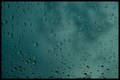 Rainday