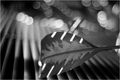 Music of Light&hellip;