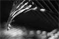 Music of Light&hellip;