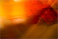 Painting Light&hellip;