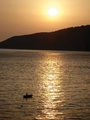 Komiza