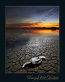 LIFE AND DEATH&hellip;
