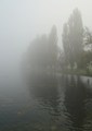 foggy 2