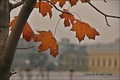 Jesen u Vukova…