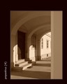 popodne (4)
