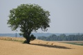 Eto stiglo lje…