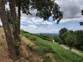 Pogled u dolin…