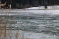 Weissensee