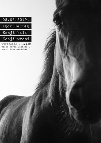 Igor-Herceg--Konji-bili-konji-vrani.jpg